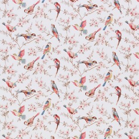 Cath kidston british birds sale