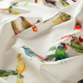 Birdsong