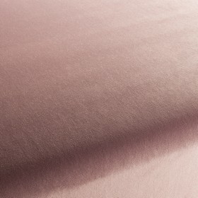 Allure Velvet