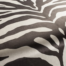 Camouflage