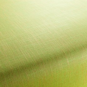 Two-Tone Vol.2