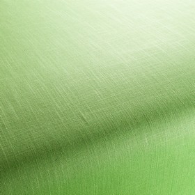 Two-Tone Vol.2