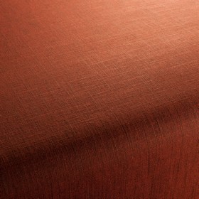 Two-Tone Vol.2