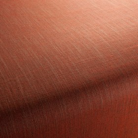 Two-Tone Vol.2