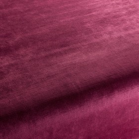 New York Velvet