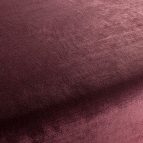 New York Velvet