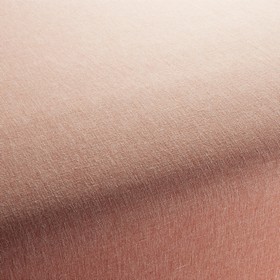 Light Shadow