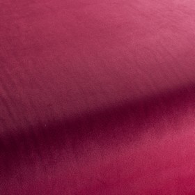 Star Velvet