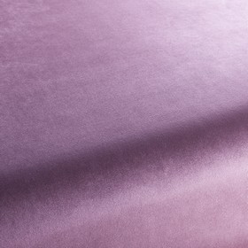 Star Velvet