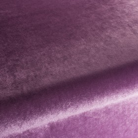 Palazzo Velvet Reloaded