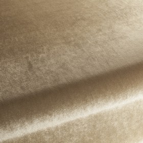 Palazzo Velvet Reloaded