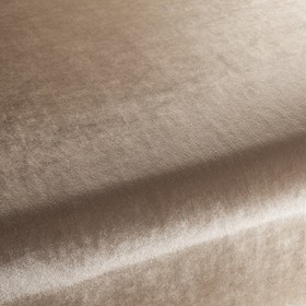 Palazzo Velvet Reloaded
