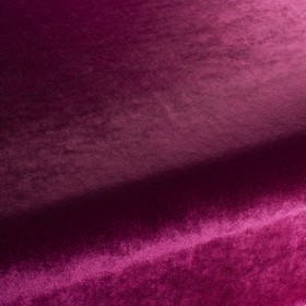 Palazzo Velvet Reloaded