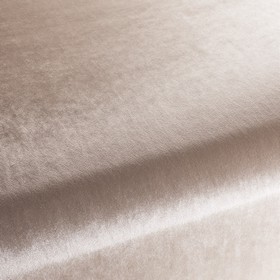 Palazzo Velvet Reloaded