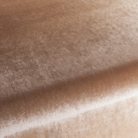 Palazzo Velvet Reloaded
