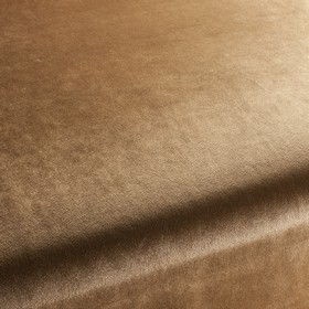 Palazzo Velvet Reloaded