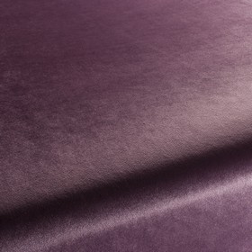 Palazzo Velvet Reloaded