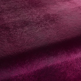 Pistoia Velvet Reloaded