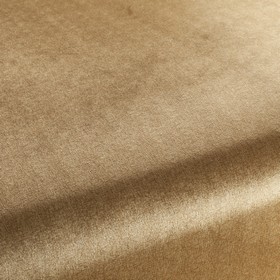Punto Velvet