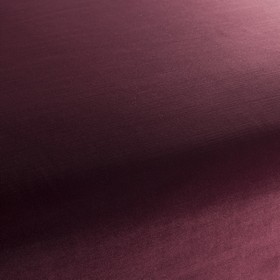 Satori