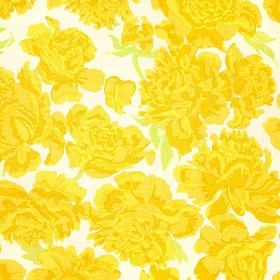 Peonies