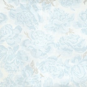 Peonies