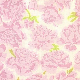 Peonies