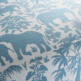 Elephants