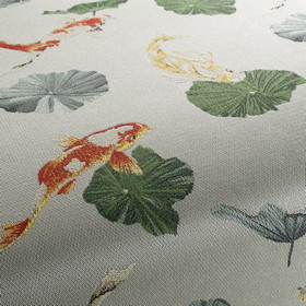 Koi