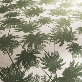 Palm Trees