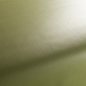 Costa