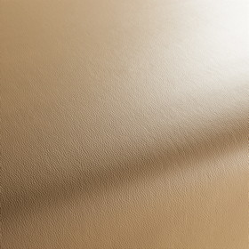 Costa