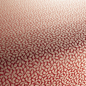 Natura