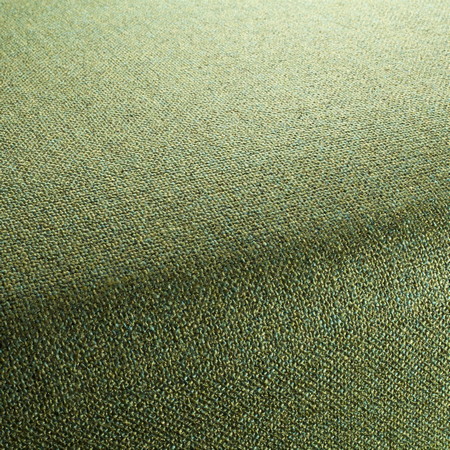 Bonsai Fabric Collection