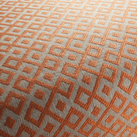 Boogie Wonderland Fabric Collection