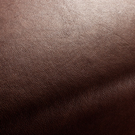 Boxter Fabric Collection