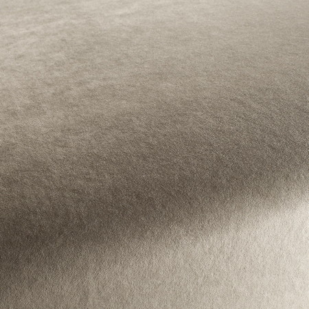 Eternal Velvet Fabric Collection