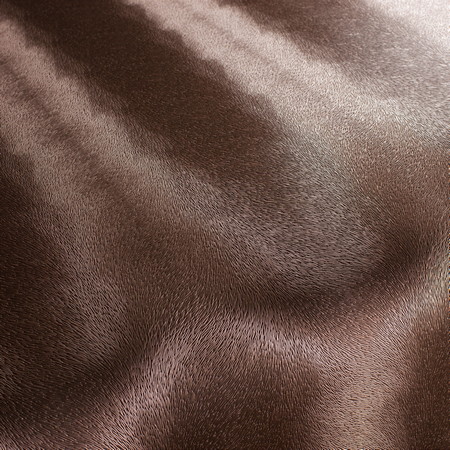 Fashion House Fabric Collection