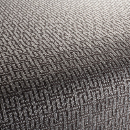 Muse Fabric Collection