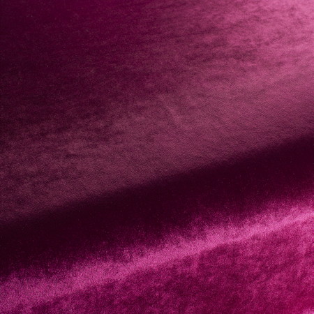 Palazzo Velvet Fabric Collection
