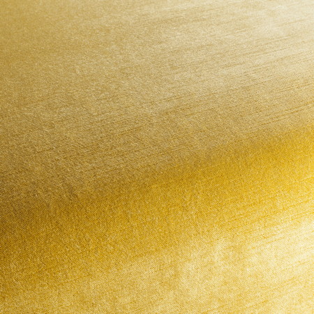 George Fabric Collection