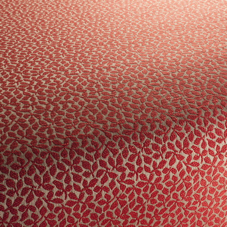 Studio FR Patterns Fabric Collection